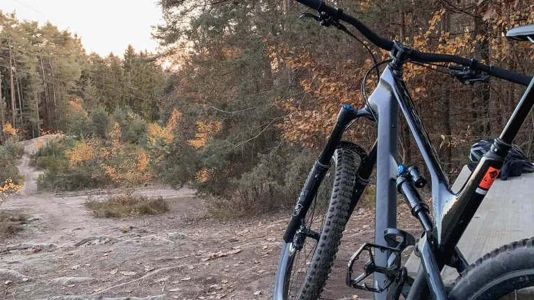 Fahrrad steht im Wald auf einem Feldweg
